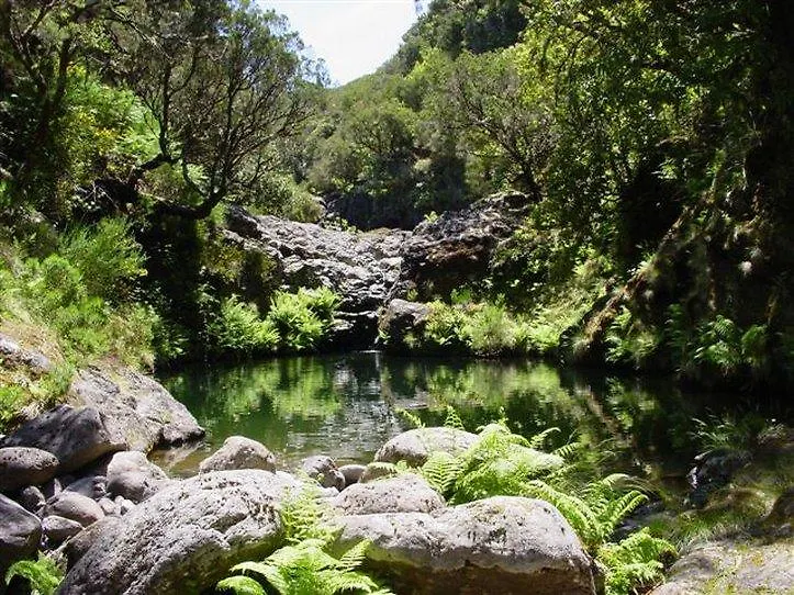 Quinta Da Casa Branca - Small Luxury Hotels Of The World Funchal